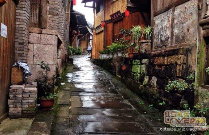 春雨直播app